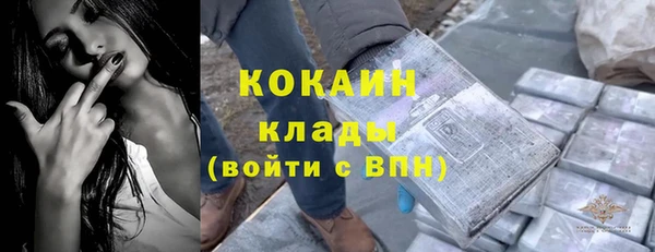 ПСИЛОЦИБИНОВЫЕ ГРИБЫ Каменногорск