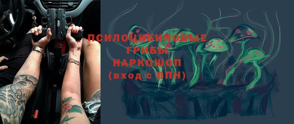 ПСИЛОЦИБИНОВЫЕ ГРИБЫ Каменногорск