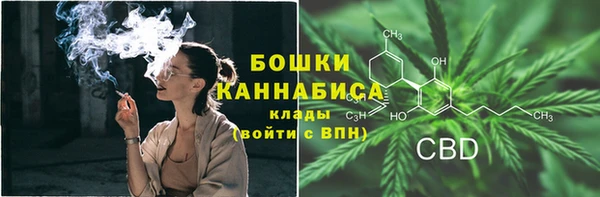 тгк Каменск-Шахтинский