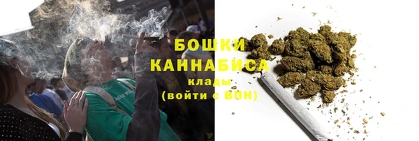 ПСИЛОЦИБИНОВЫЕ ГРИБЫ Каменногорск