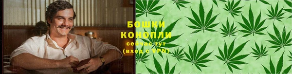 ПСИЛОЦИБИНОВЫЕ ГРИБЫ Каменногорск
