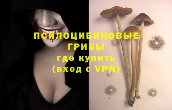 прущая мука Каменка