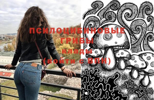 ПСИЛОЦИБИНОВЫЕ ГРИБЫ Каменногорск