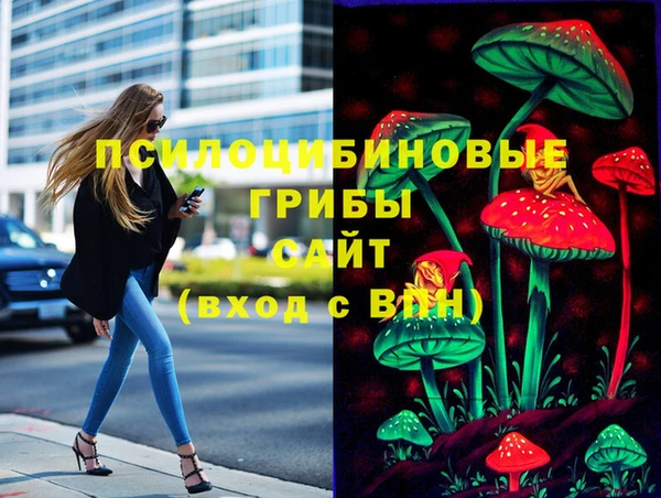 прущая мука Каменка